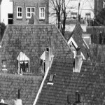 Jeugdhulp header